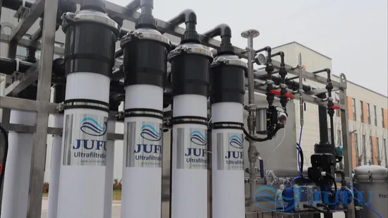 10tph UF Water Treatment Plant Industrial Ultrafiltration System Mineral Water Purification 