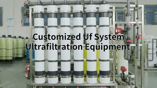 Manufacturer 50 Ton UF Ultrafiltration Industrielle Filter System Reverse Osmosis Plant RO Filter System for Baby Shrimp 