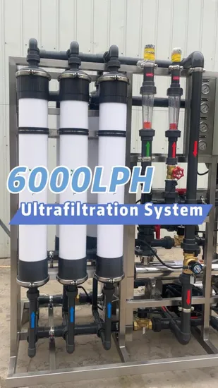 6tph UF System Ultrafiltration Water Purification System Mineral Water Treatment Equipment 