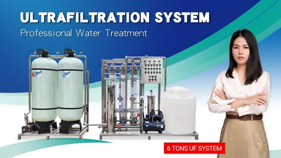 Drinking Water Treatment Machine Ultrafiltration System UF Water Filtration Plant UF System 