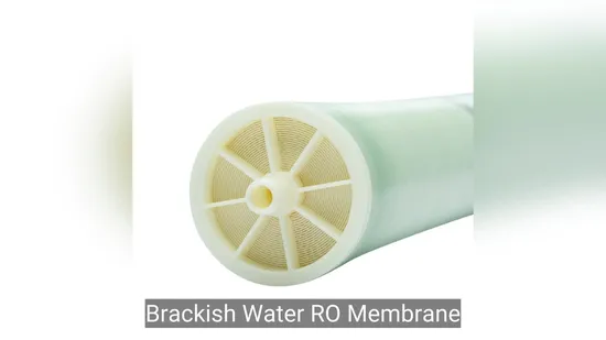 Bw8040 Bw4040 4021 2540 2521 8040 4040 CE Certified Brackish Industrial Reverse Osmosis System Ceramic Ion Exchange Membranes Hollow Fiber Hydranautics Membrane 